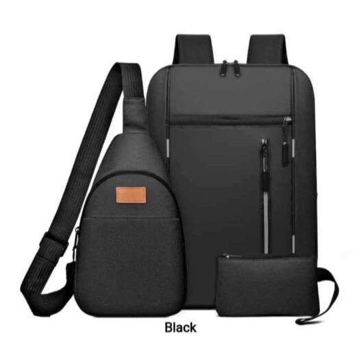 3 in 1 Laptop & School Backpack Bags