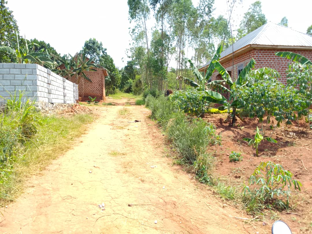 100×100 plots in busiika town councel