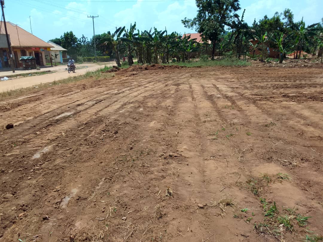 100×50 plots on sales