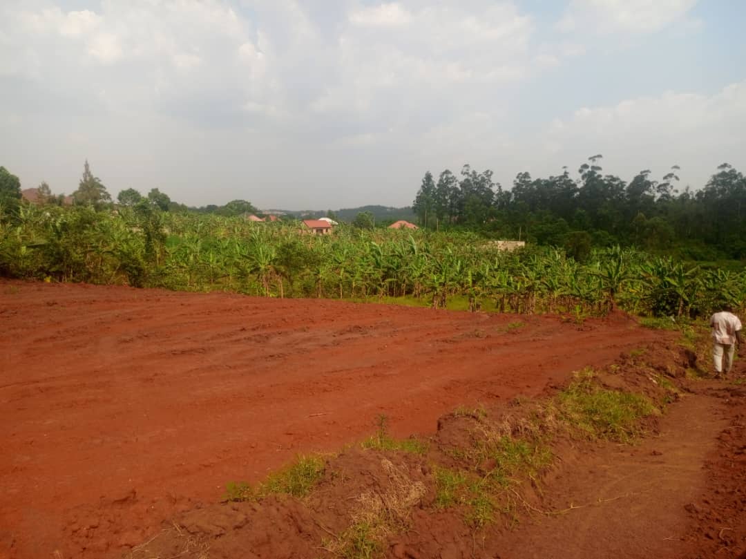 100×50 plots in vumba