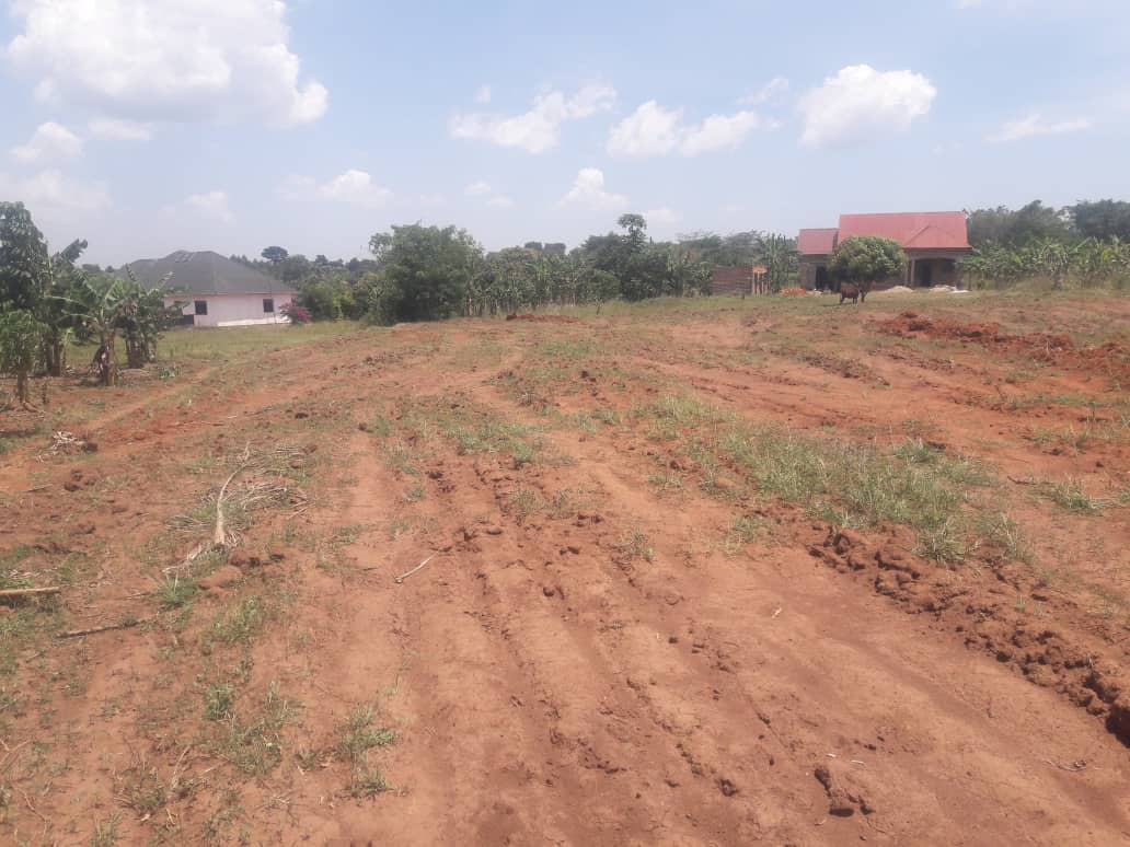 50×50 plots gayaza busiika bulamii