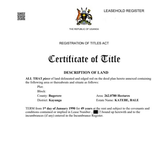 Land on sale