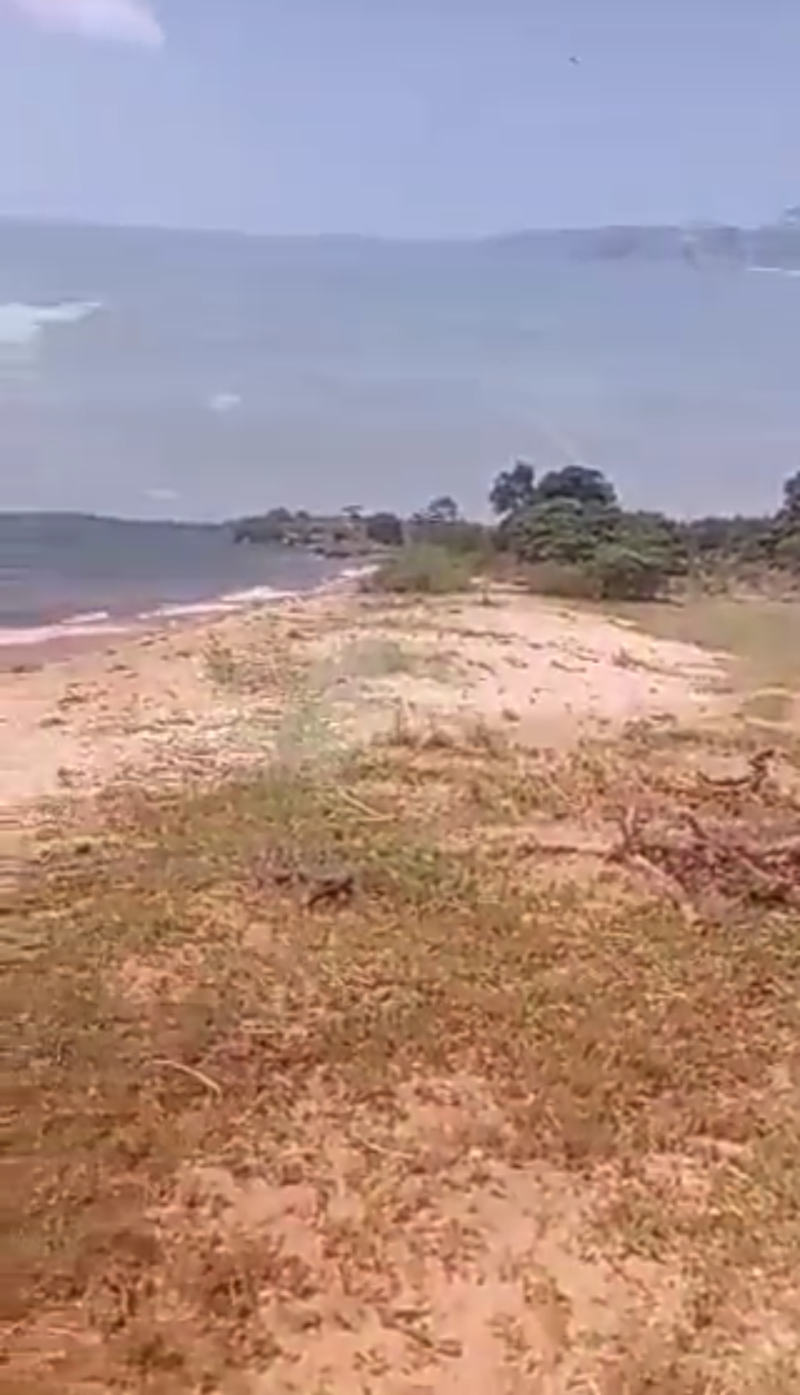 Front beach land on quick sale