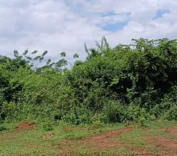 Land on quick sale