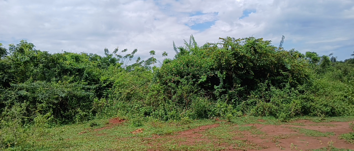 Land on quick sale