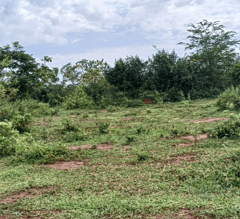 Land on quick sale