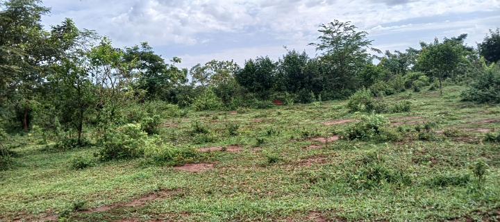 Land on quick sale