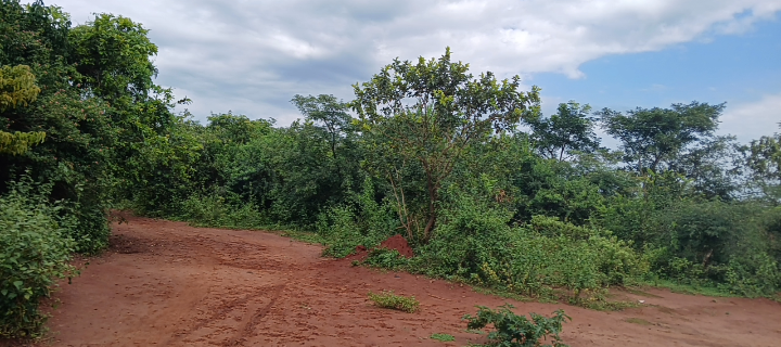 Land on quick sale