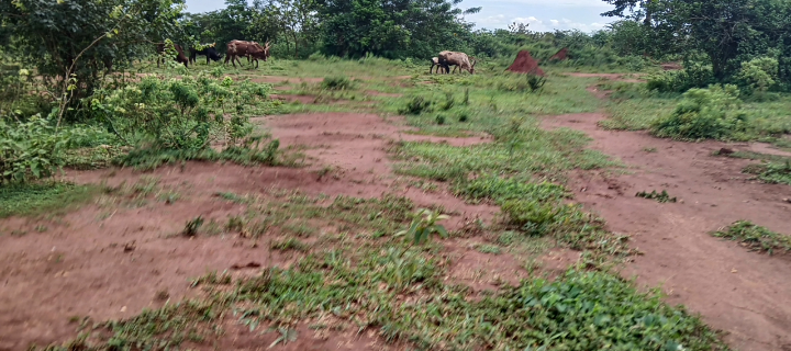 Land on quick sale