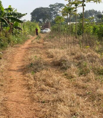 6 Plots For Sale In Ssanga Bubaale Semuto Rd, Wakiso