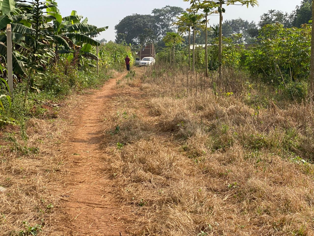 6 Plots For Sale In Ssanga Bubaale Semuto Rd, Wakiso