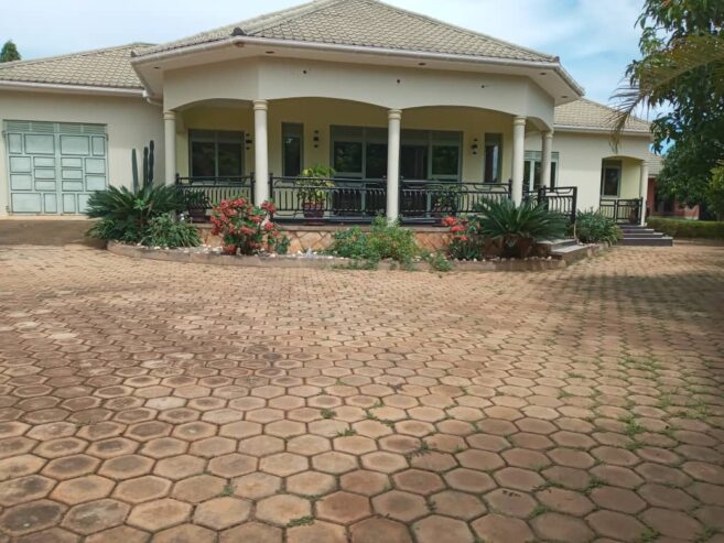 Rural Estate For Sale; Kakiri-Kamuli, Hoima Road
