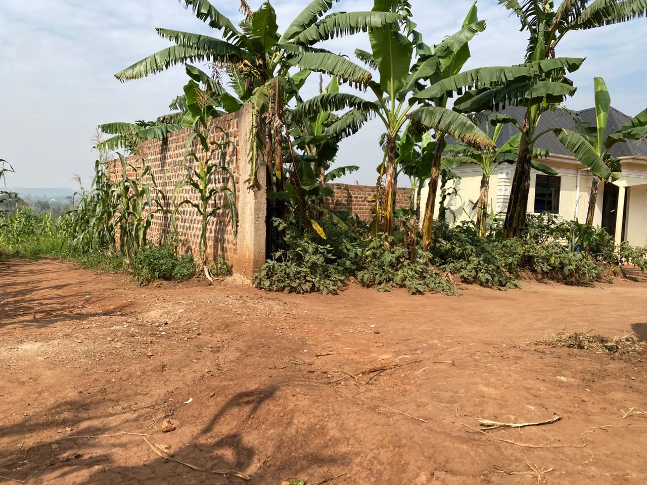 6 Plots For Sale In Ssanga Bubaale Semuto Rd, Wakiso