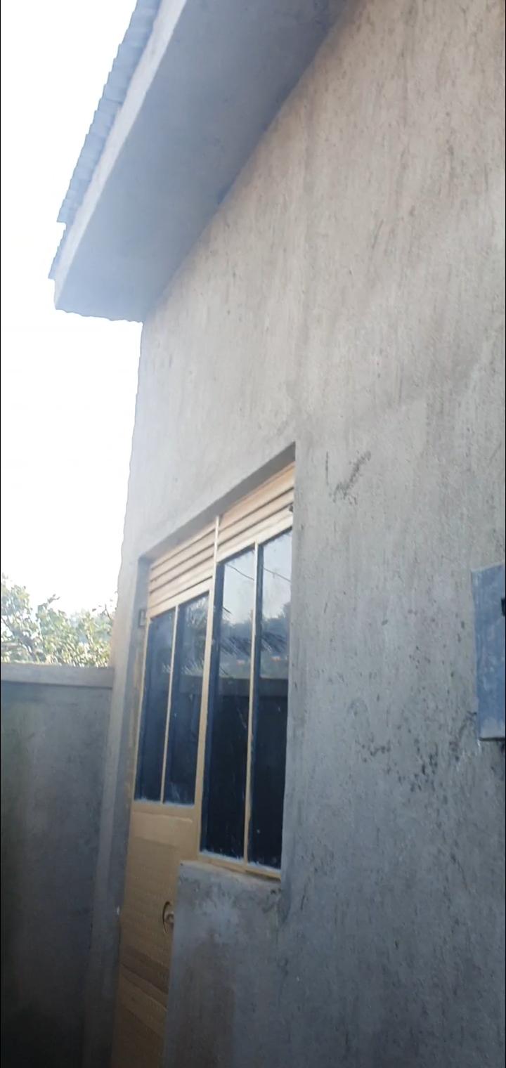 Busubuuzi!!!!! Rentals on quick sale at 50M (slightly negotiable) generating shs700,000 per month