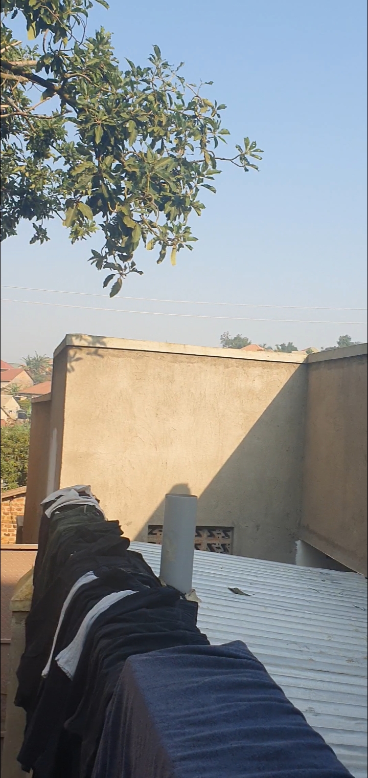 Busubuuzi!!!!! Rentals on quick sale at 50M (slightly negotiable) generating shs700,000 per month