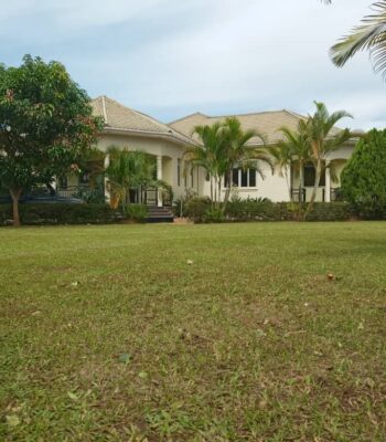 Rural Estate For Sale; Kakiri-Kamuli, Hoima Road