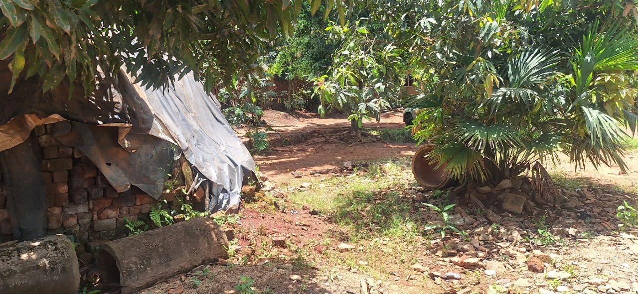 25 Decimals (100×100) For Sale in Kulambo Kisasi