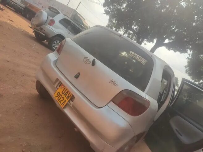 Vitz