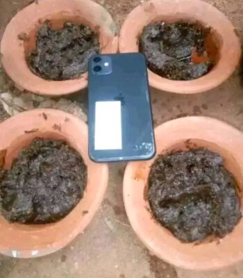 The Most Powerful SpirItual Herbalist Native Doctor IN Nigeria