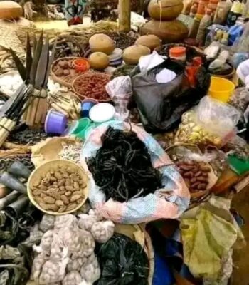 The Most Powerful SpirItual Herbalist Native Doctor IN Nigeria