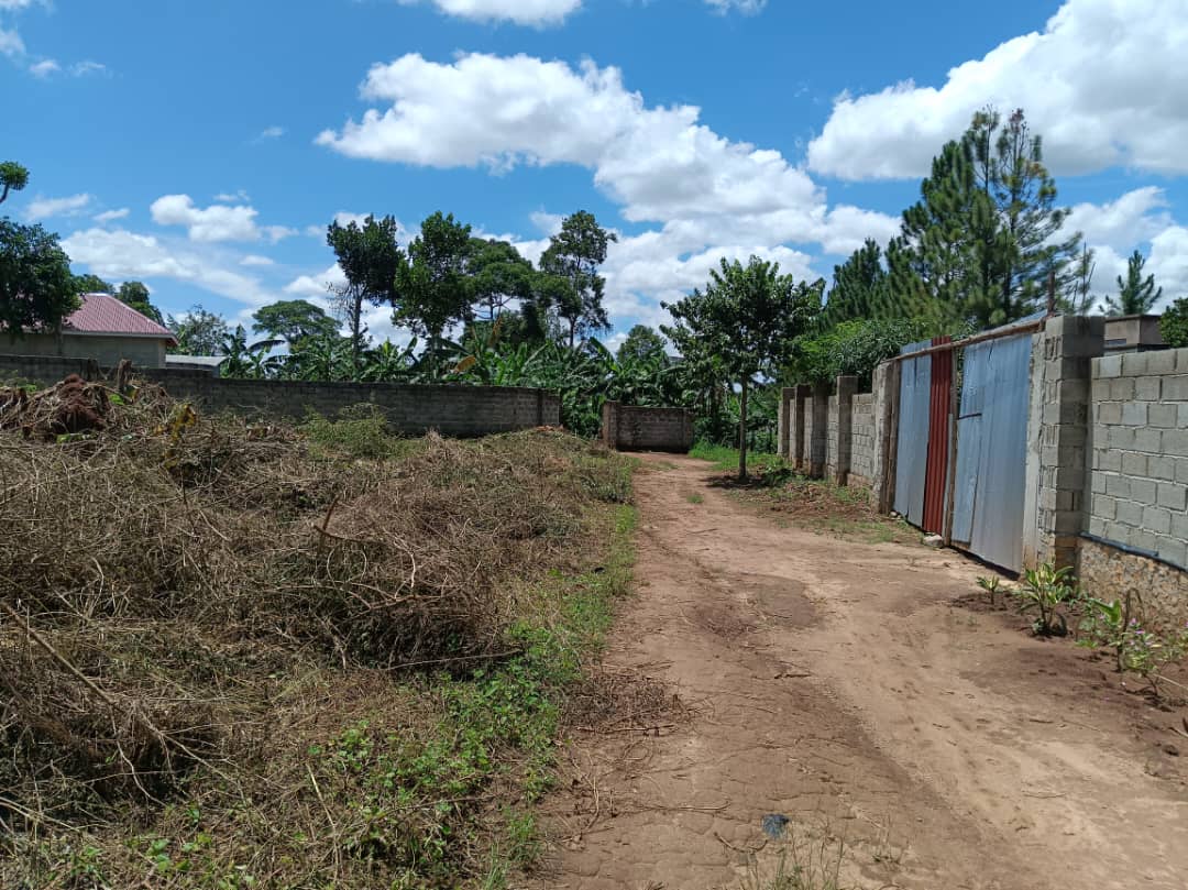 Land For Sale In Mukono