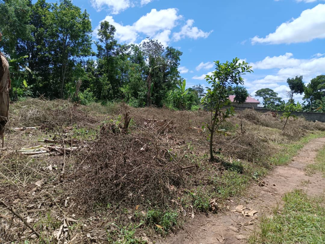Land For Sale In Mukono