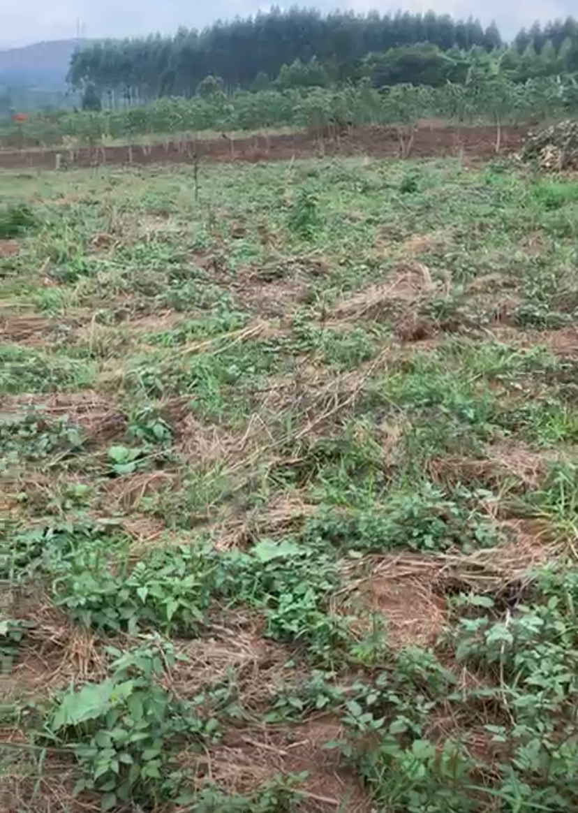 Land for sale