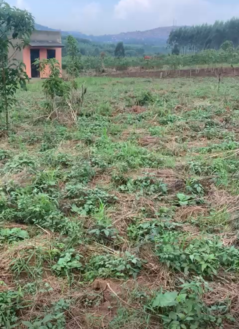Land for sale