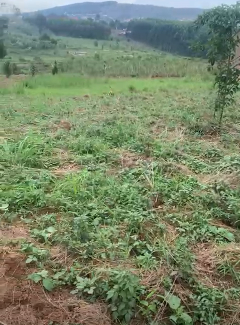 Land for sale
