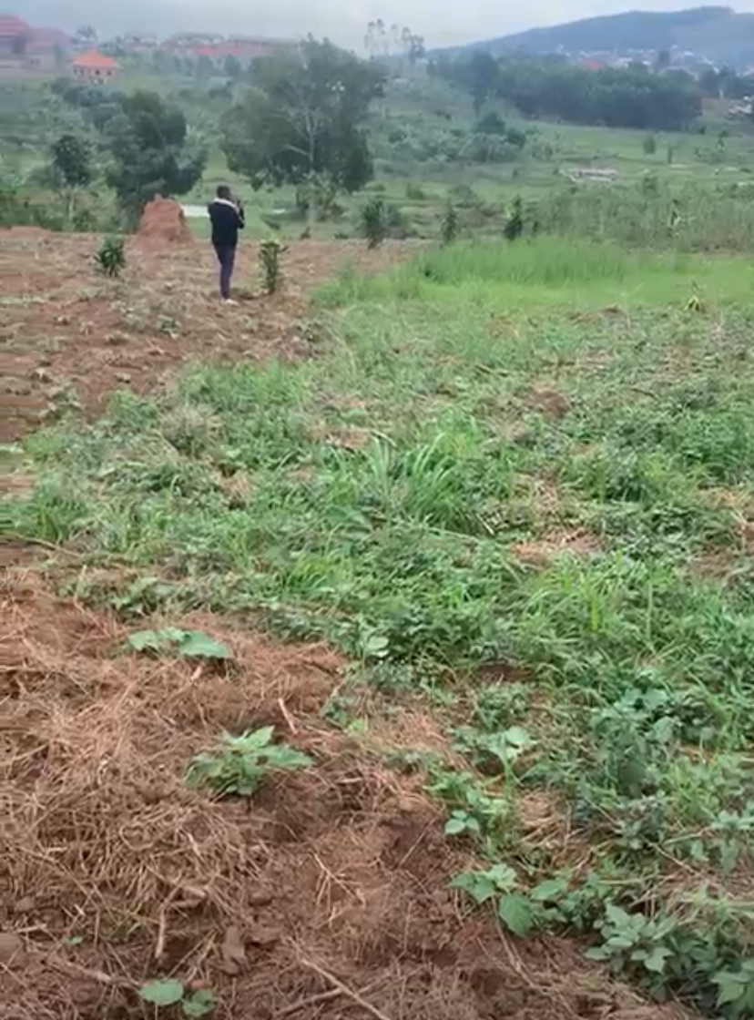 Land for sale